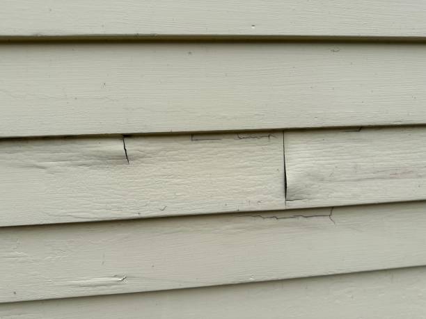 Affordable siding repair and maintenance services in Cibolo, TX